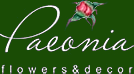 Paeonia - flowers & decor Paeonia - flowers & decor
